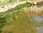 Ufermatte grün 100 cm breite